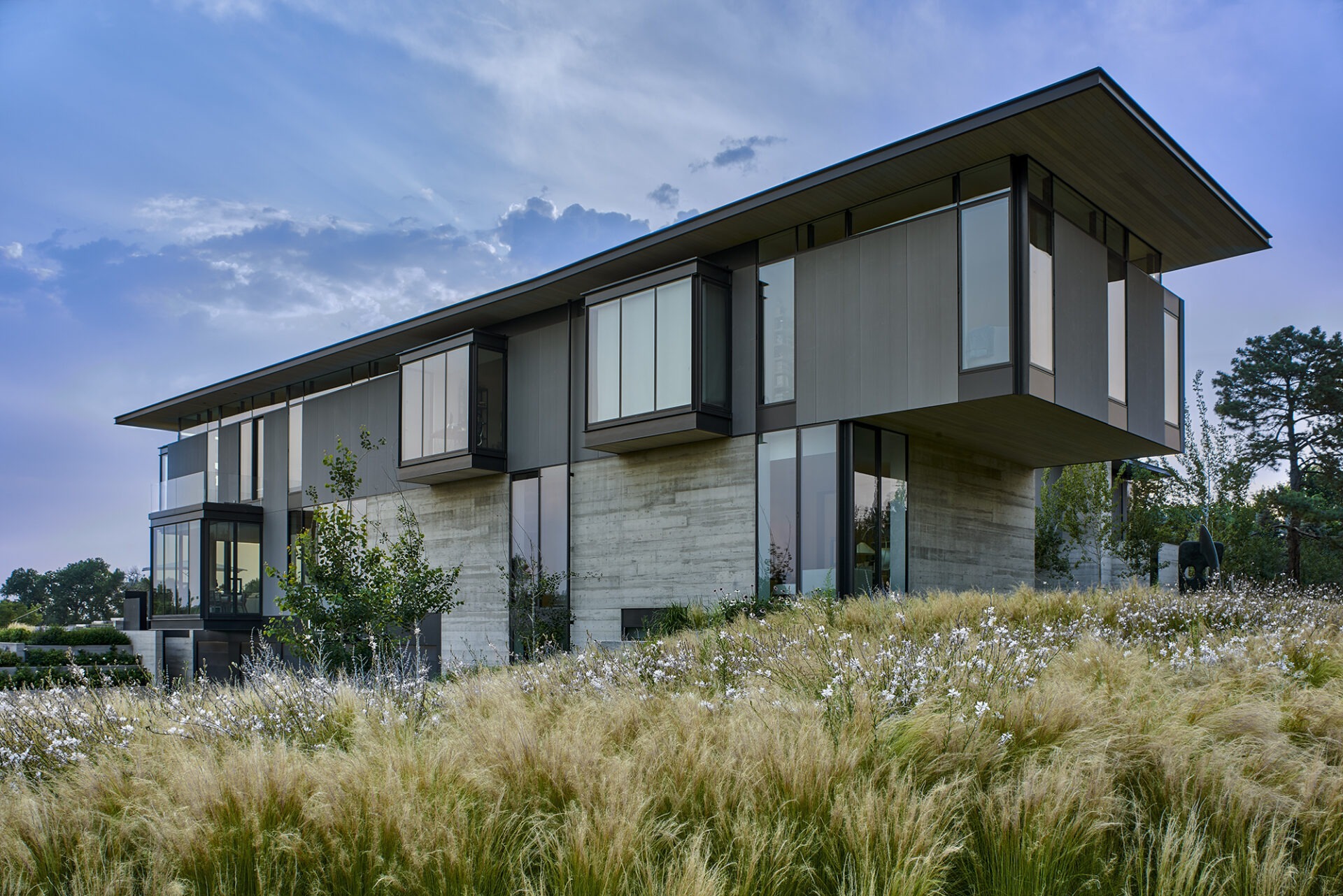 Modern house with large windows, surrounded by tall grass and trees. Sleek, minimalist design features overhanging roof and concrete elements under a clear blue sky.