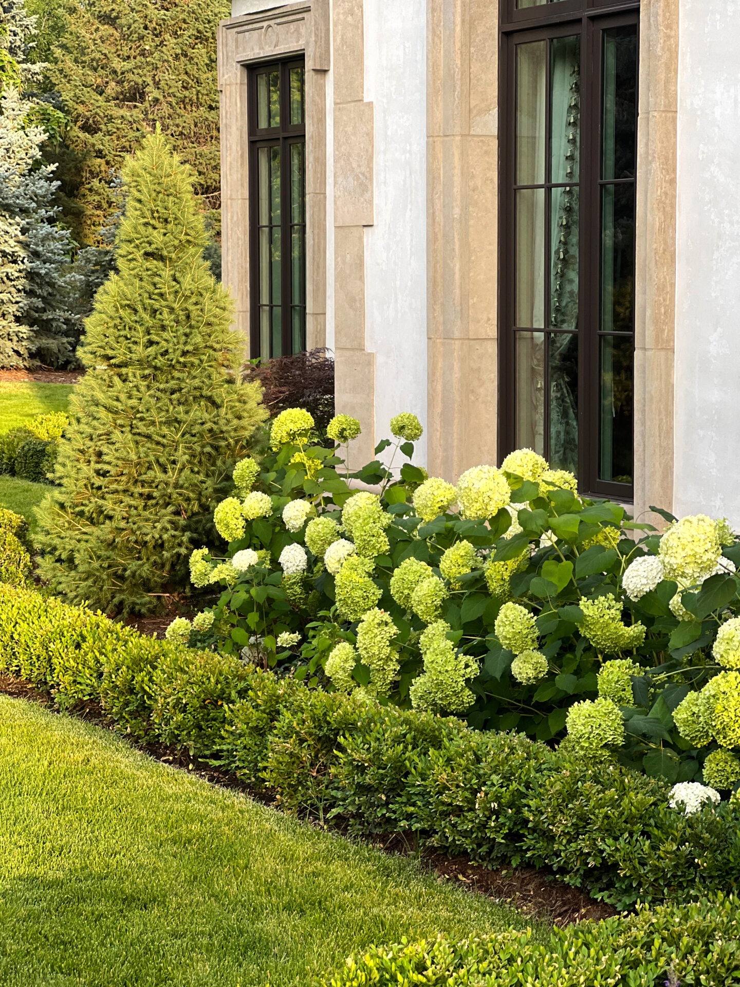 Elegant garden with blooming hydrangeas, lush greenery, manicured shrubs, and a stylish modern building facade featuring large, decorative windows.