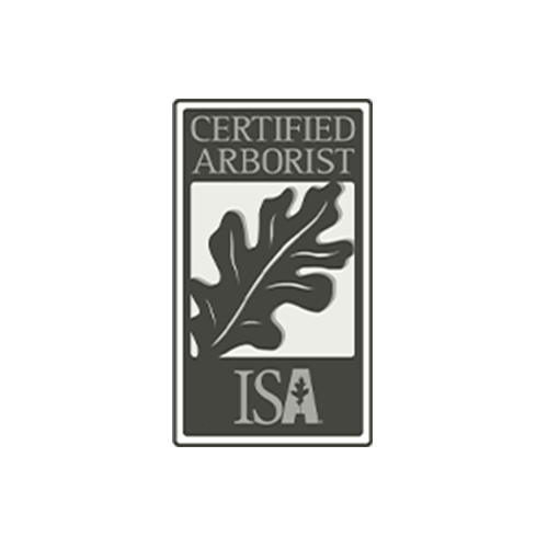 Certified Arborist logo featuring a stylized oak leaf design and the letters "ISA" underneath, set within a rectangular frame.