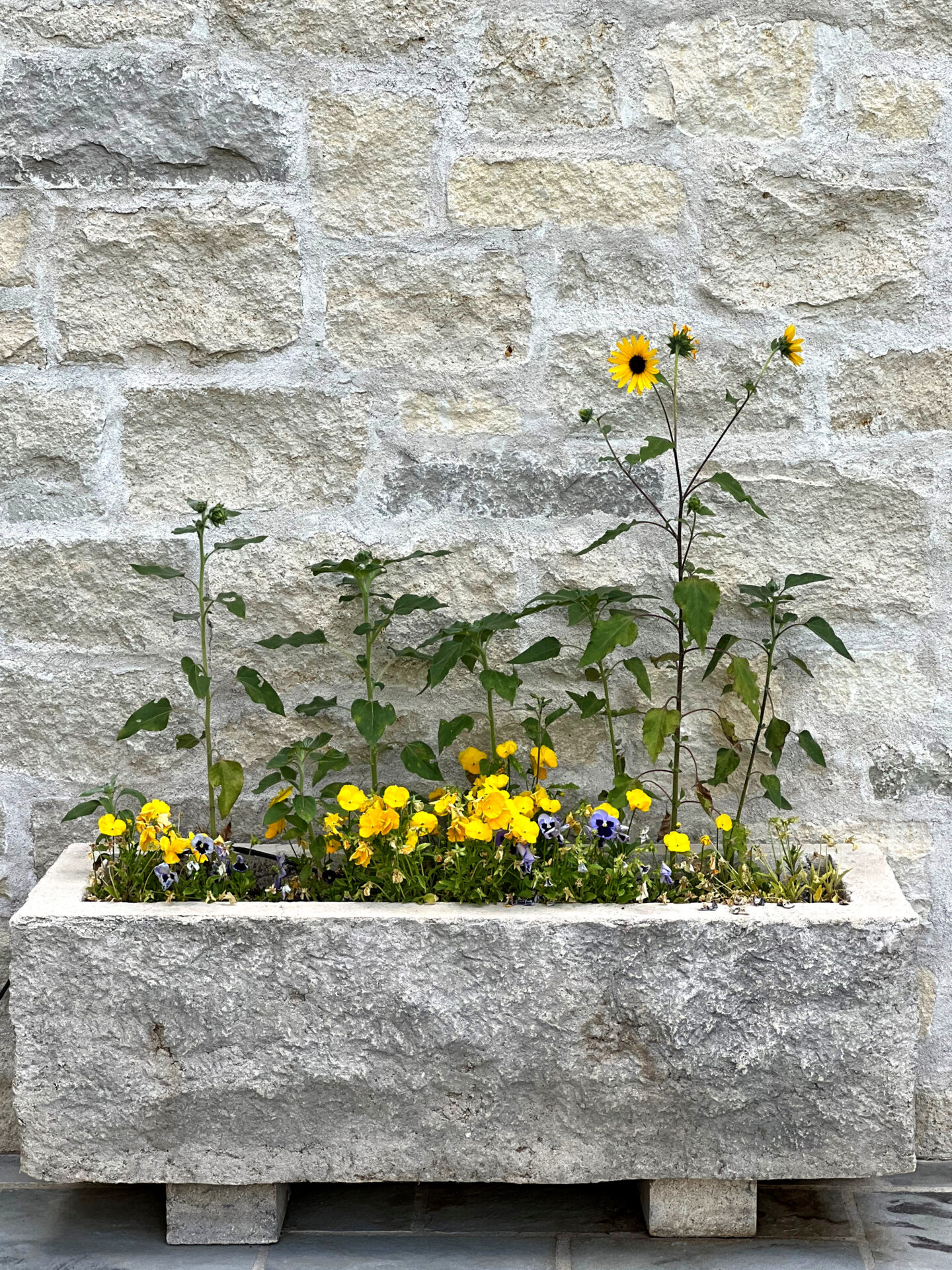 A stone planter with yellow flowers and sunflowers is set against a textured stone wall, displaying simple, elegant garden decor.