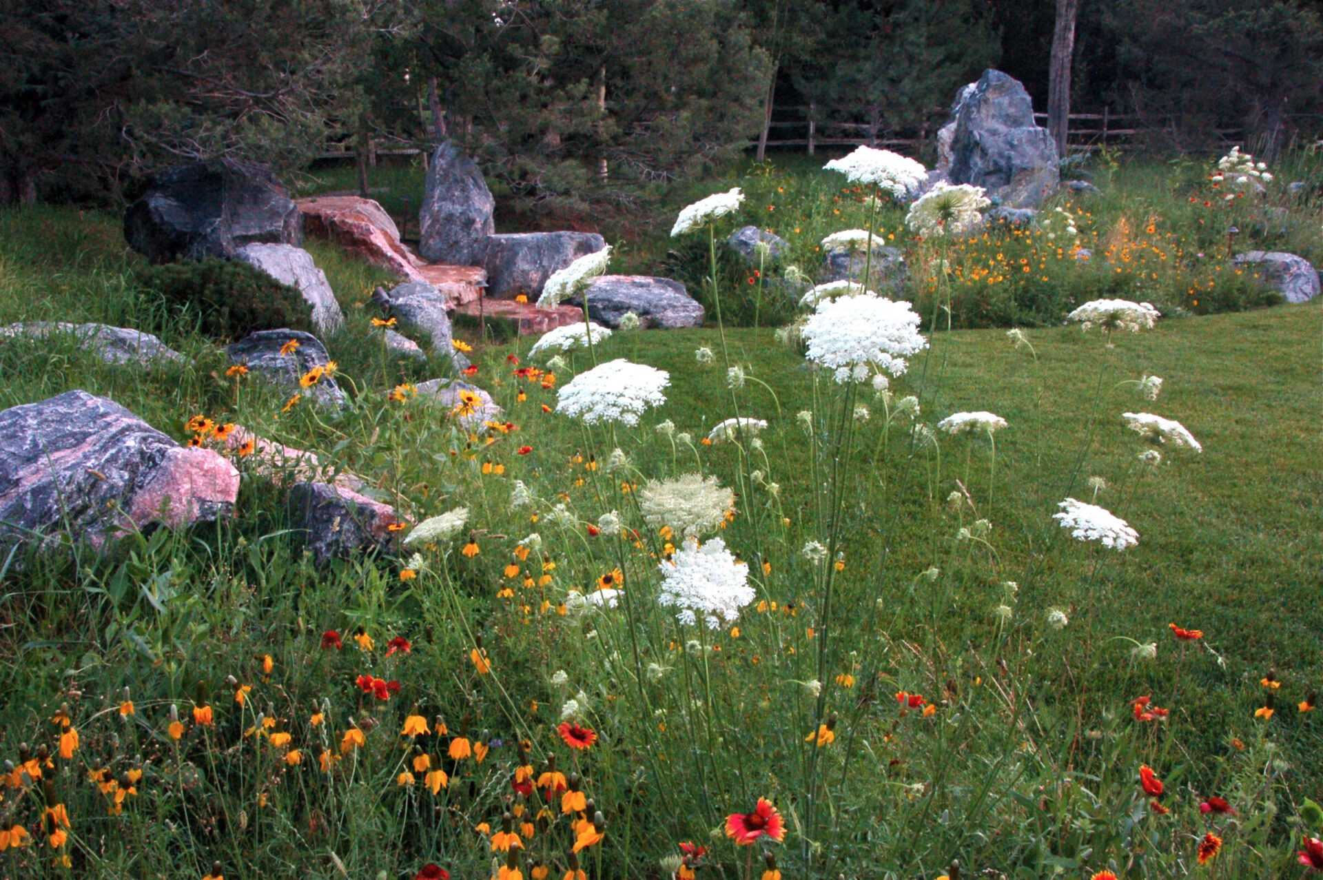 A serene garden scene with wildflowers and large rocks, surrounded by trees and a wooden fence, creating a peaceful natural setting.